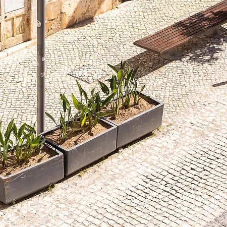 Delmar Apartamento Portimão