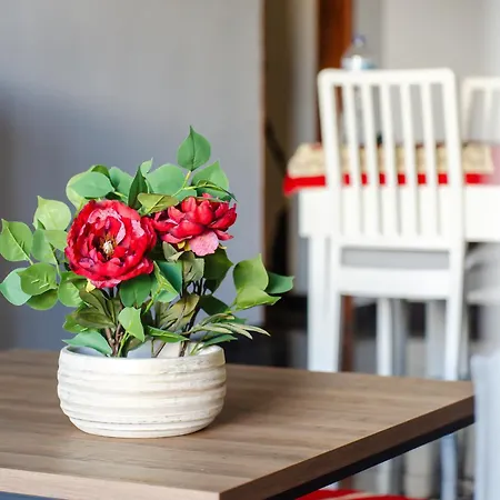 Apartamento Delmar *
